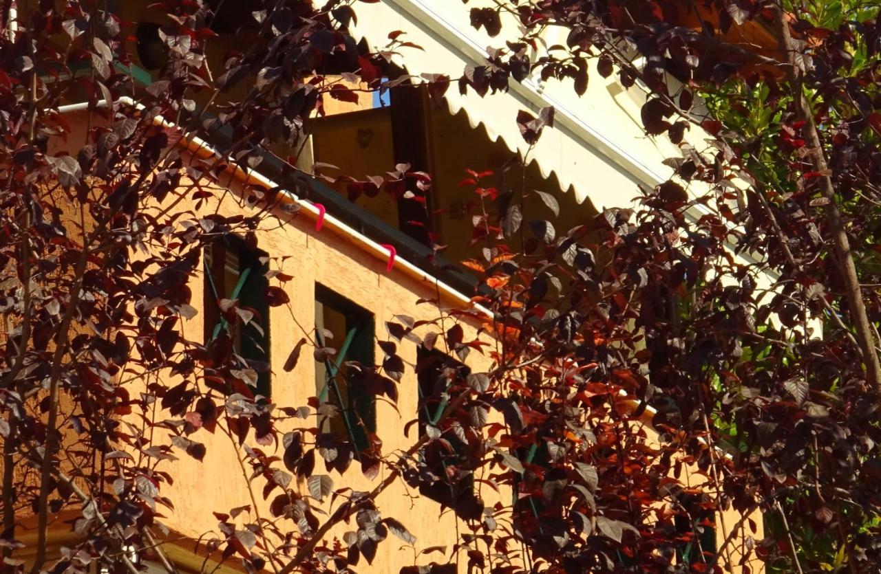 Trip Your Mind In Greece Psakoudia Exterior photo